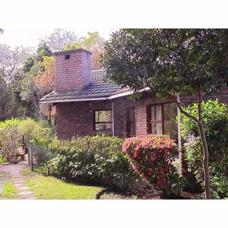 Forest Nest Cottage, Tsitsikamma Stormsrivier Eksteriør billede