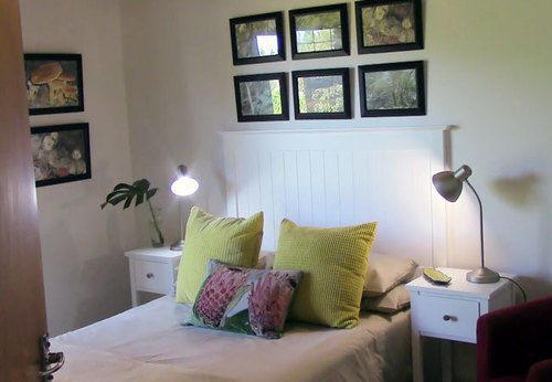 Forest Nest Cottage, Tsitsikamma Stormsrivier Eksteriør billede