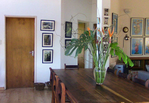 Forest Nest Cottage, Tsitsikamma Stormsrivier Eksteriør billede